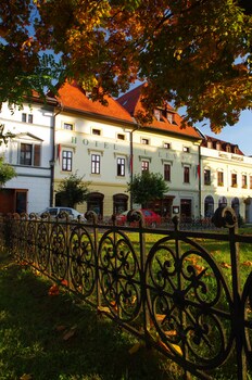 Hotel U Leva,Levoca>>Gerlachov,3 star