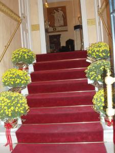 acropolis museum boutique hotel