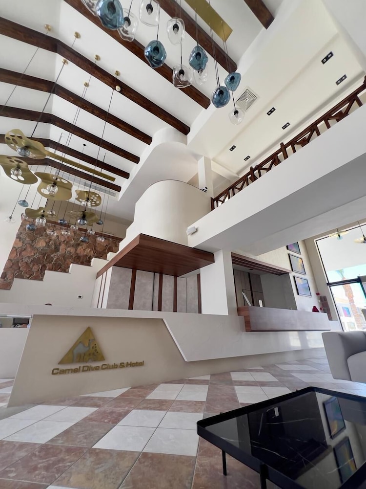 camel dive club and hotel
