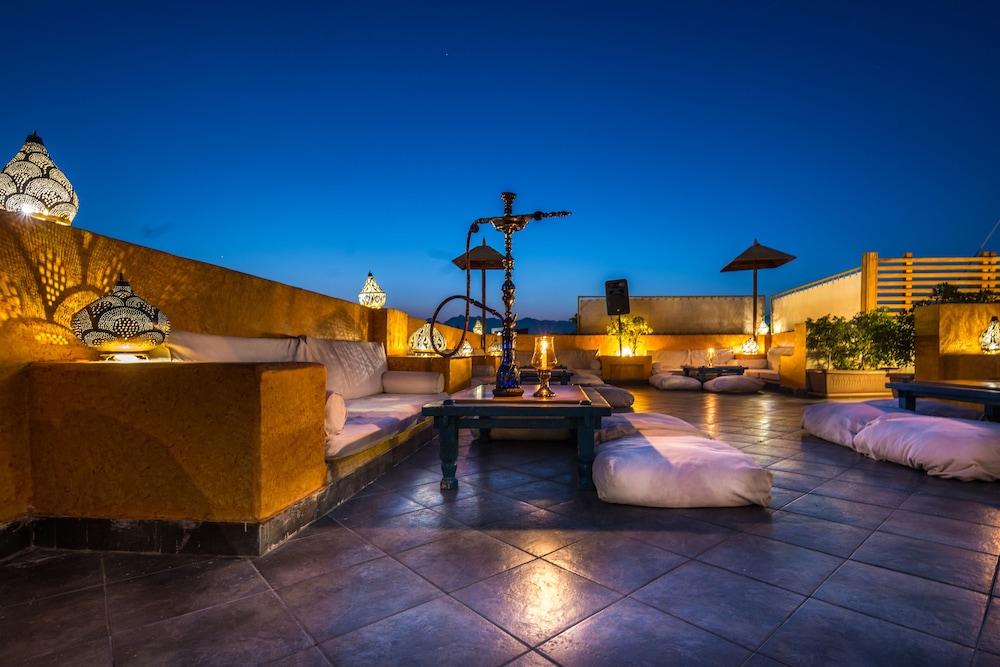 camel dive club and hotel