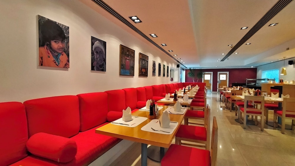 camel dive club and hotel