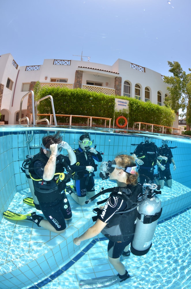 camel dive club and hotel