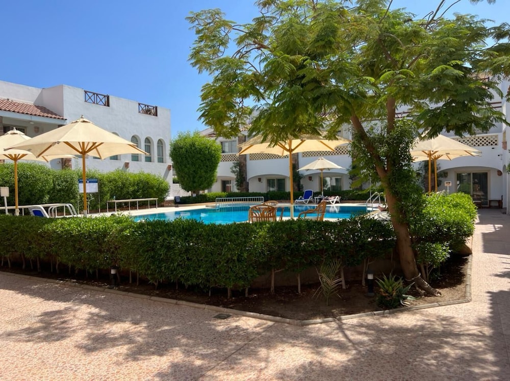 camel dive club and hotel