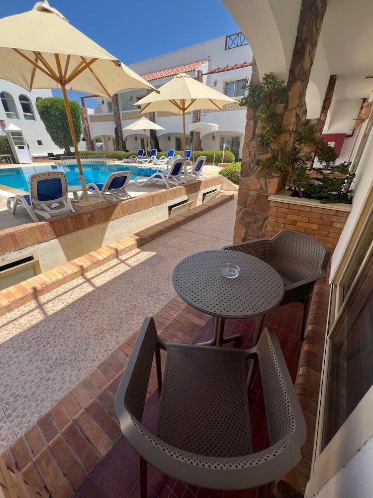 camel dive club and hotel