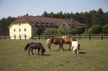 ferien hotel flaming