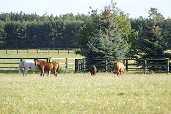 ferien hotel flaming