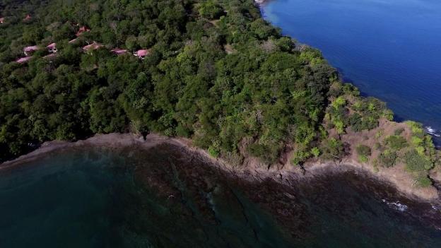 guanacaste