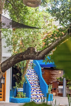 blu galapagos sustainable waterfront lodge