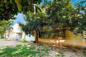 collection o bengaluru shri veerabhadratemple