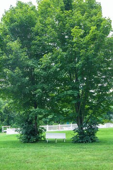 blackberry river inn