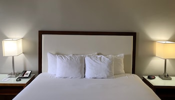 clarion hotel fort mill near amusement park