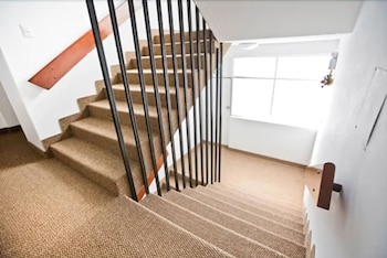 tierra viva puno plaza