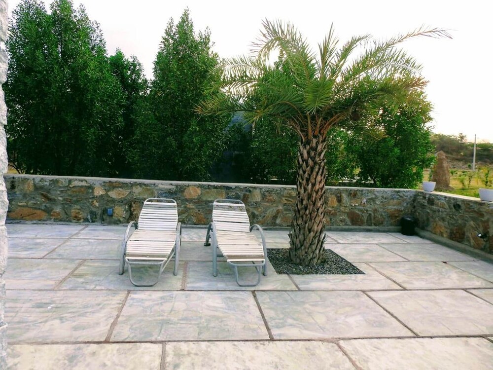 jawai wildlife safari camp