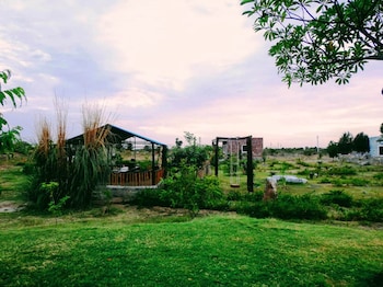 jawai wildlife safari camp