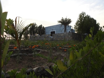 jawai wildlife safari camp