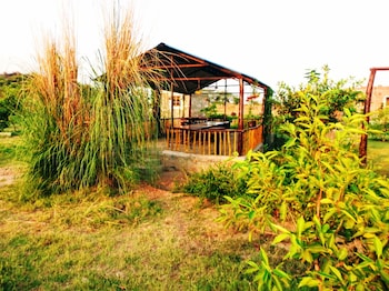 jawai wildlife safari camp
