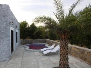 jawai wildlife safari camp