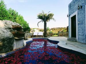 jawai wildlife safari camp