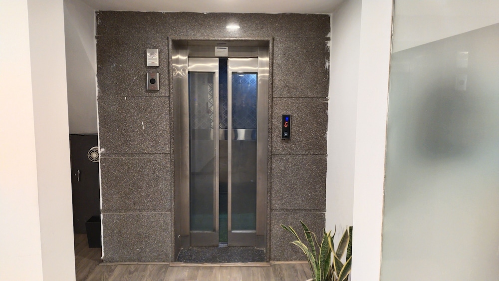 saltstayz sector 39 subhash chowk