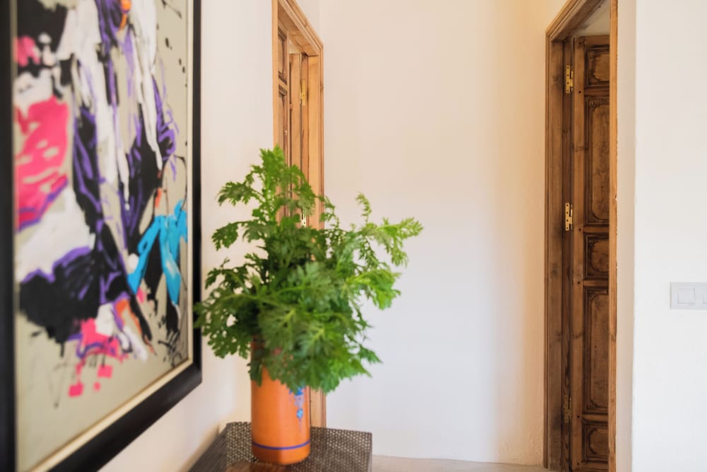 la fiermontina ocean