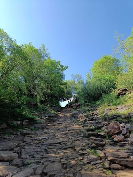 gandhisagar forest retreat