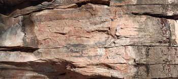 gandhisagar forest retreat