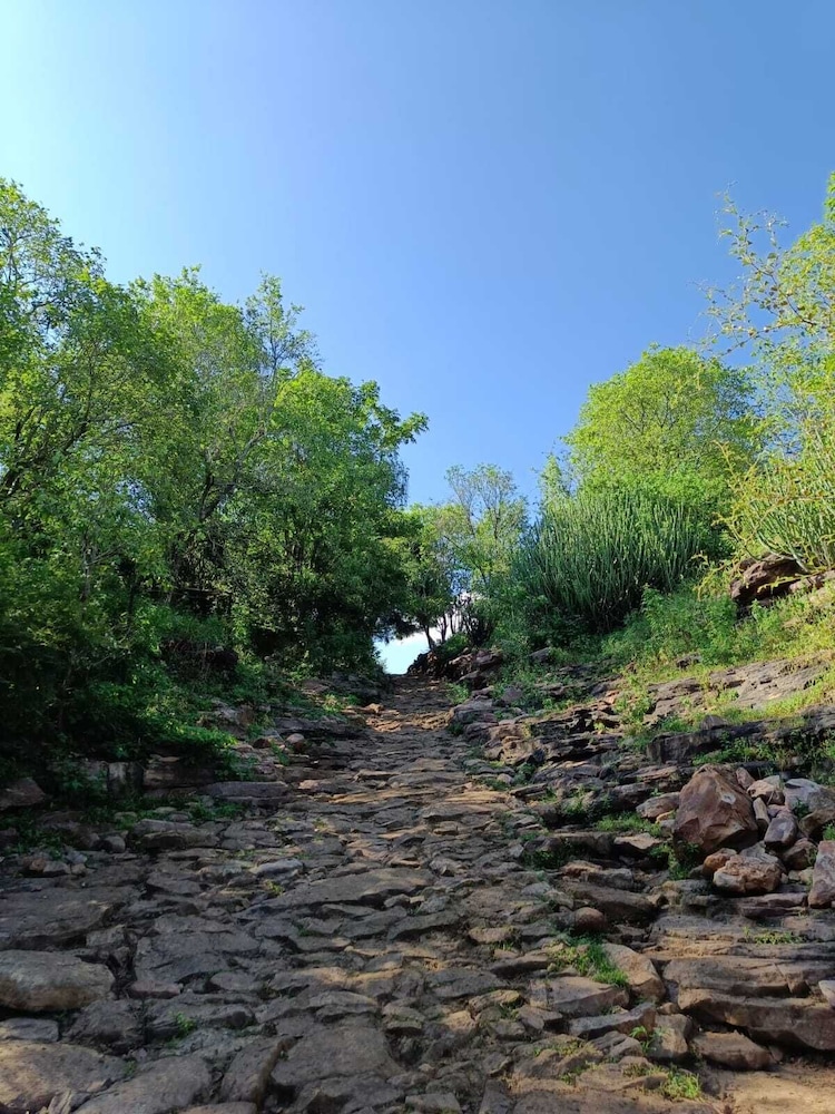 gandhisagar forest retreat