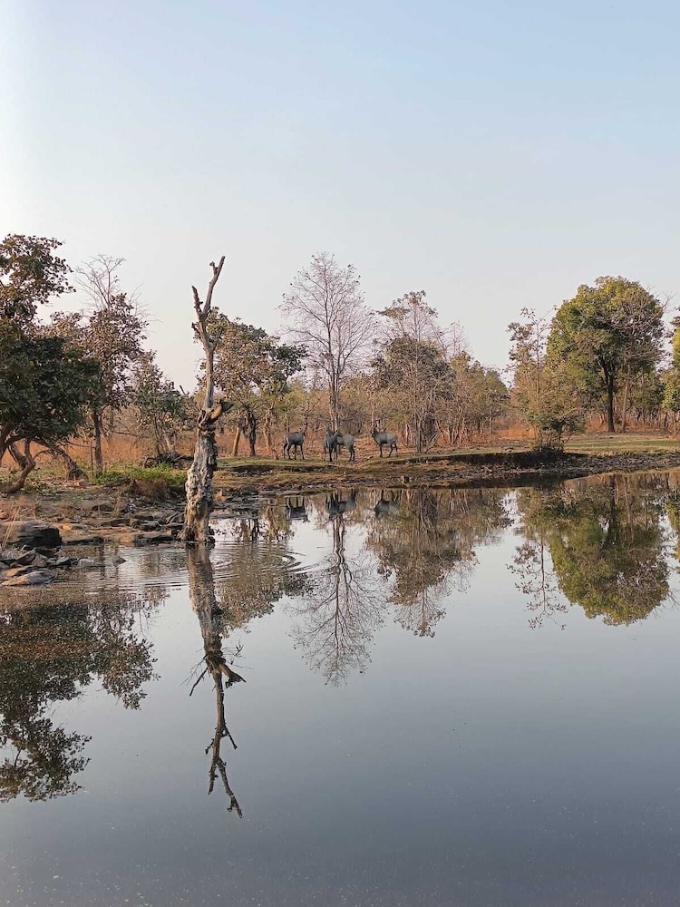 gandhisagar forest retreat