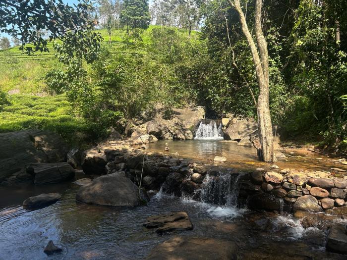 vythiri