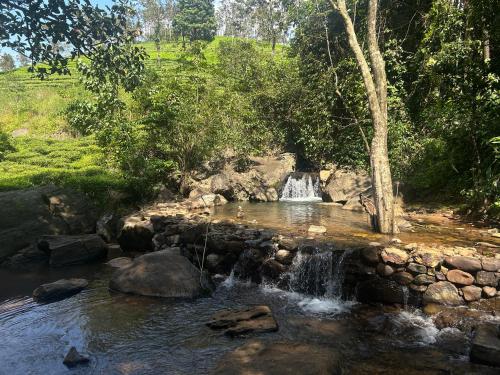 vythiri