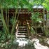 mango inn resort
