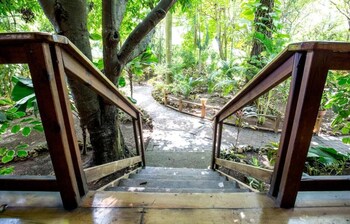 mango inn resort