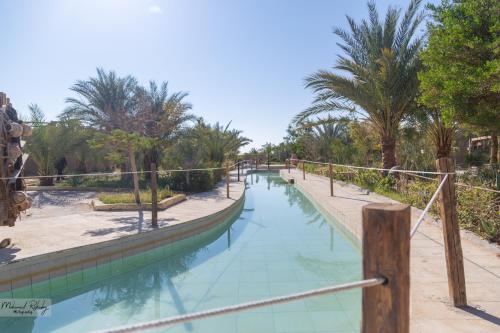 siwa shali resort