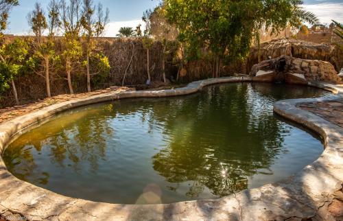siwa shali resort