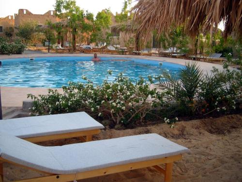 siwa