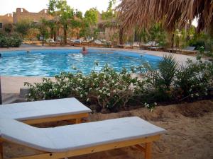 siwa