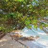 bhundhari residence koh samui