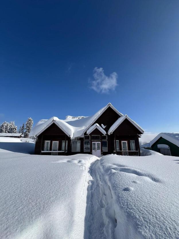 gulmarg woods by stay pattern