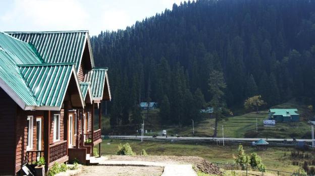 gulmarg woods by stay pattern