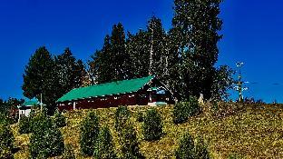 gulmarg woods by stay pattern