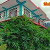 mairung gaon farm stay