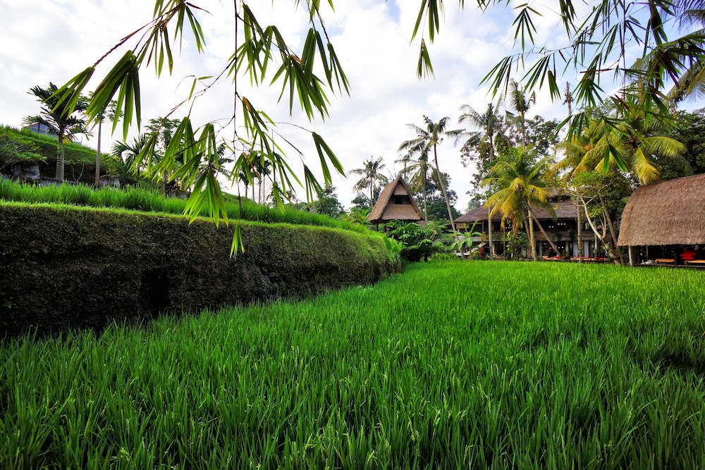 arma museum and resort