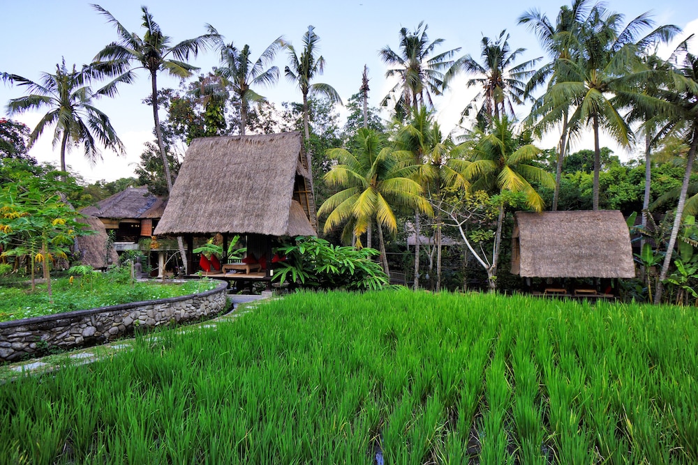 arma museum and resort