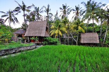 arma museum and resort