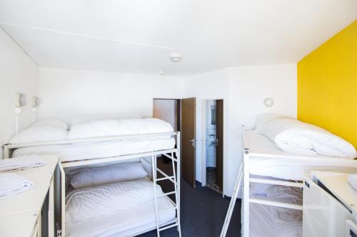 galaaxy mountain hostel