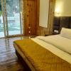 qcent woods spa and resort