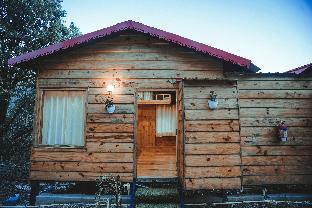 Minikins - Resorts & Restaurant,Pangot>>Nainital,2 star