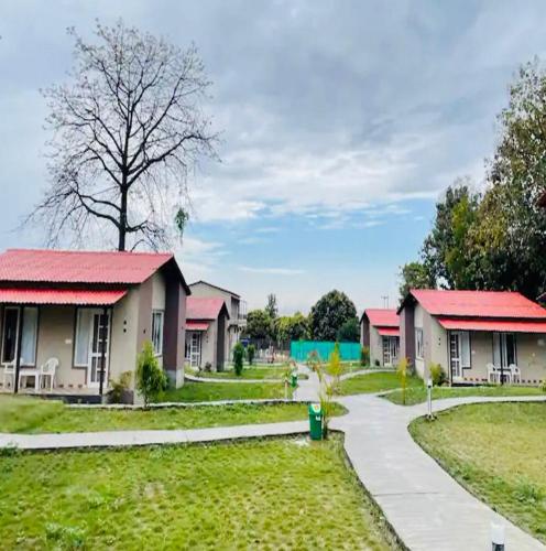 jim corbett ramnagar