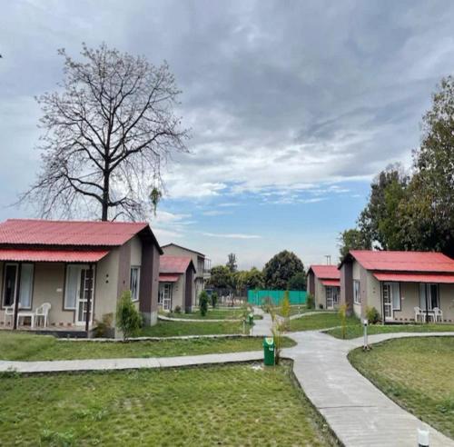 jim corbett ramnagar