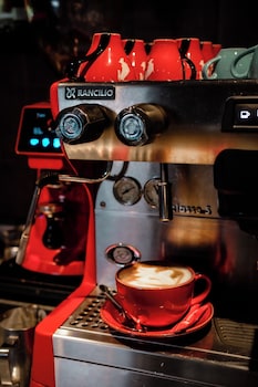 arche dwor uphagena gdansk